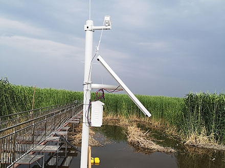 Application Case of Online Ammonia Nitrogen Sensor in Hunan Groundwater Pipeline