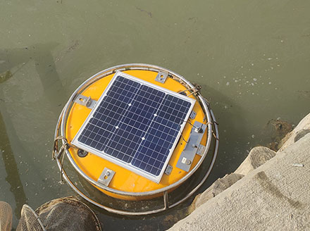 In situ real-time monitoring of fish pond water quality using a small buoy system