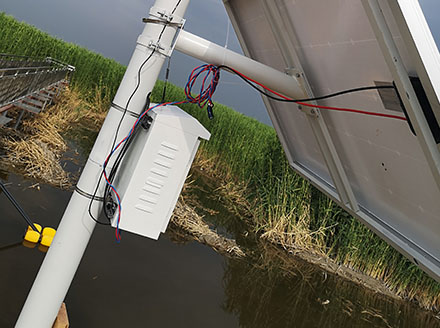 Application case of COD and ammonia nitrogen sensors in rural rivers in Hunan province